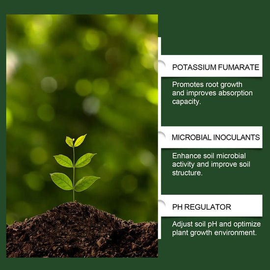 Plant Growth Enhancer Powder 100g Plant Growth Nutrient Fertilizer Multi-Purpose Rooting Supplement for Soil Culture Mixed
