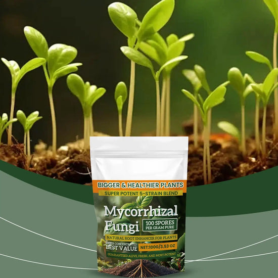Plant Growth Enhancer Powder 100g Plant Growth Nutrient Fertilizer Multi-Purpose Rooting Supplement for Soil Culture Mixed
